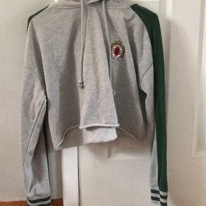 Cropped Pacsun Hoodie